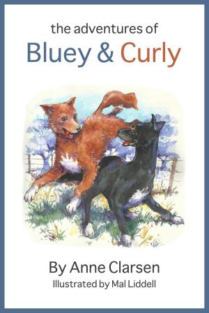 Cover of the book The Adventures of Bluey and Curly by Katie McKintie
