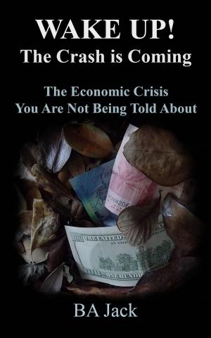 Book cover of WAKE UP! The Crash is Coming: The Economic Crisis You Are Not Being Told About