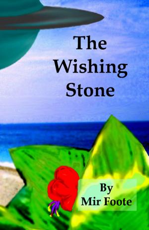 Cover of the book The Wishing Stone by Paul Andrulis