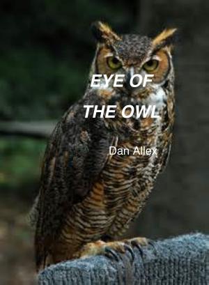 Cover of the book Eye Of The Owl by Frederic Roux