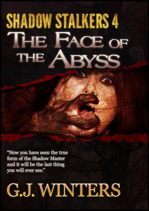 Cover of The Face of The Abyss: Shadow Stalkers 4