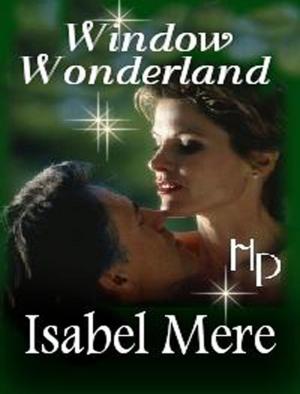 Cover of the book Window Wonderland by Lee Roland