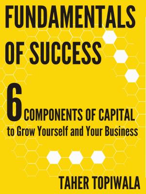 bigCover of the book Fundamentals of Success: 6 Components of Capital by 