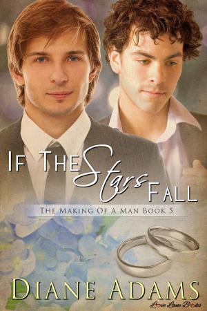 Book cover of If The Stars Fall