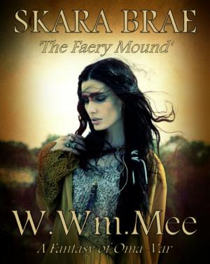 Cover of the book Skara Brae 'The Faery Mound' by Leah Cypess