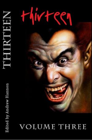 Cover of the book Thirteen Volume Three by Penny Tawret