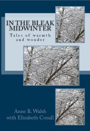 Book cover of In the Bleak Midwinter