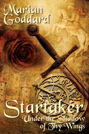 Cover of the book Startaker: Under the Shadow of Thy Wings by Franck Gordon
