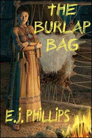 Cover of the book The Burlap Bag by Heather Jarman