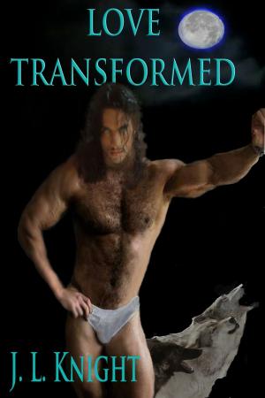 Cover of the book Love Transformed by Aimee Nichon