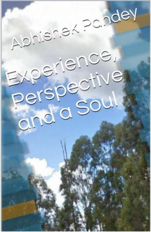 Cover of Experience, Perspective and a Soul