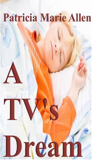Book cover of A TV's Dream