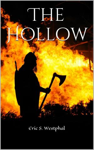 Cover of the book The Hollow by Peter Birk