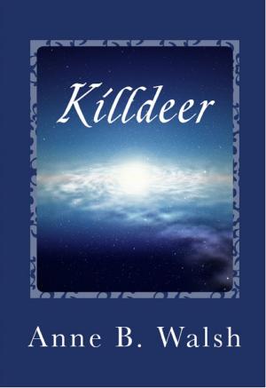 Book cover of Killdeer