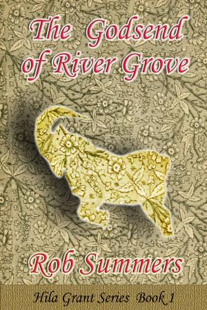 Book cover of The Godsend of River Grove