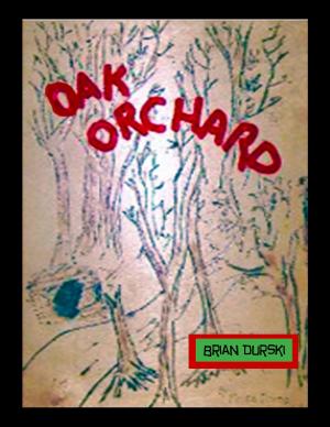 Cover of the book Oak Orchard by Robert L Clayton