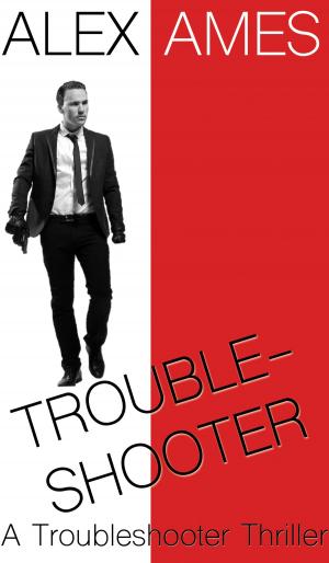 Cover of Troubleshooter
