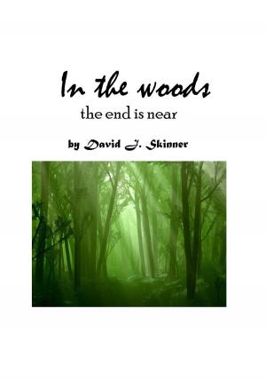 Cover of the book In the Woods by Adriano Silva