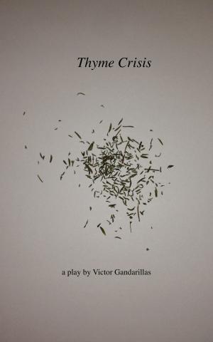Cover of the book Thyme Crisis by Renaud Camus