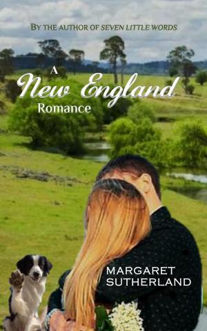 Book cover of A New England Romance