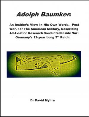 Cover of the book Adolph Baumker by Randy Ingermanson