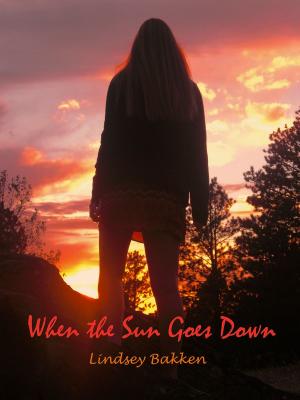 Cover of the book When the Sun Goes Down by Chad Pulver