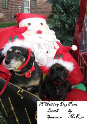 Cover of the book A Holiday Dog Park Death by Saundra McKee