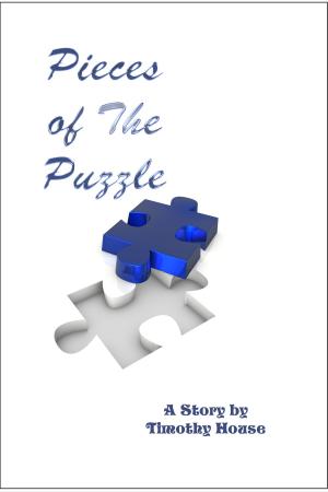 Book cover of Pieces of the Puzzle
