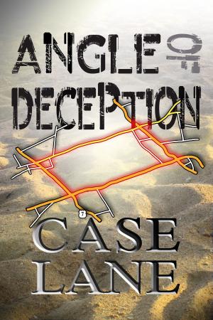 Cover of the book Angle of Deception by Phoebe Matthews