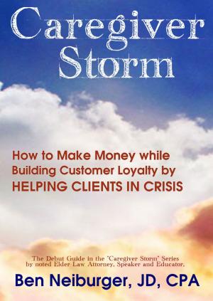 Cover of Caregiver Storm: How to Make Money While Building Customer Loyalty by Helping Clients in Crisis