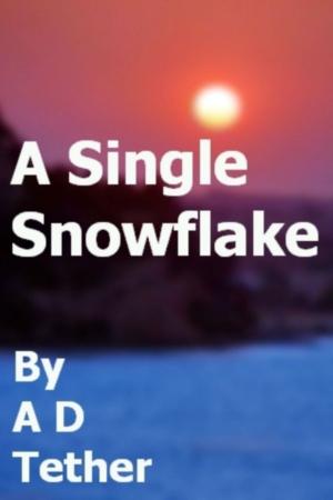 Cover of the book A Single Snowflake by A.D.