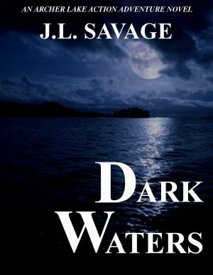 Cover of the book Dark Waters by Catherine Batty