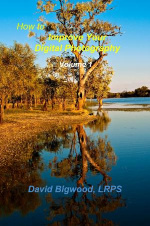 Book cover of How to Improve Your Digital Photography Volume 1