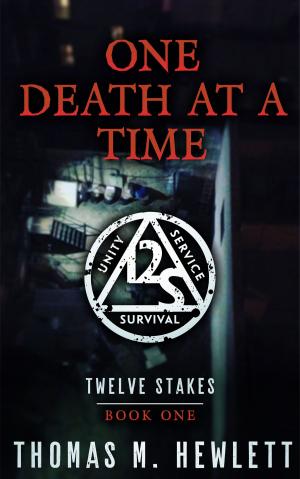 Cover of the book One Death at a Time by Noel Chalman