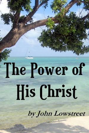Cover of the book The Power of His Christ by Daniel G. McCrillis Th. D.