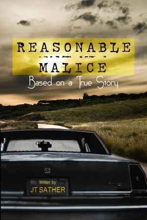 Cover of the book Reasonable Malice by Raffaele Fumo