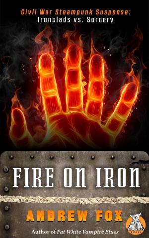 Cover of the book Fire on Iron by Vitaliano Franco Manetti