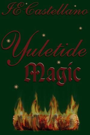 Cover of the book Yuletide Magic by K. B. Goddard