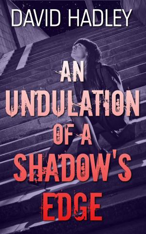 Cover of the book An Undulation of a Shadow's Edge by Megan Chance, Robyn Chance