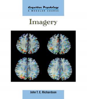Cover of the book Imagery by Elsa Schmid-Kitsikis, Maja Perret-Catipovic, S. Perret-Vionnet