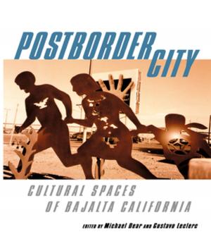 Cover of the book Postborder City by Corine de Ruiter, Nancy Kaser-Boyd