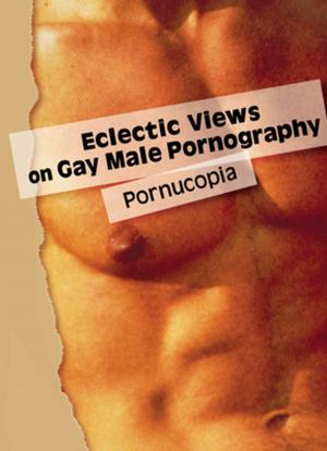 Book cover of Eclectic Views on Gay Male Pornography