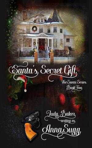 Book cover of Santa's Secret Gift