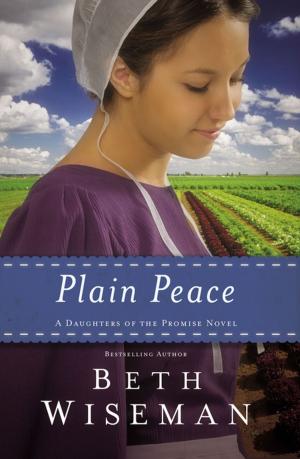 Cover of the book Plain Peace by Jack Countryman, Terri Gibbs