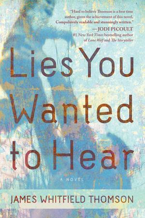 Book cover of Lies You Wanted to Hear