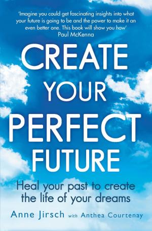 Book cover of Create Your Perfect Future