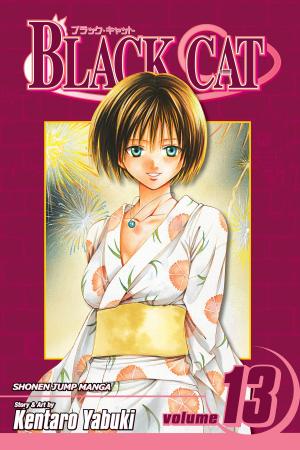 Cover of the book Black Cat, Vol. 13 by Ryo Mizuno