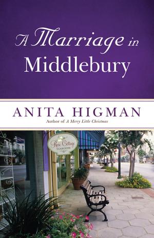 Cover of the book A Marriage in Middlebury by Scott J. Jones, Arthur D. Jones