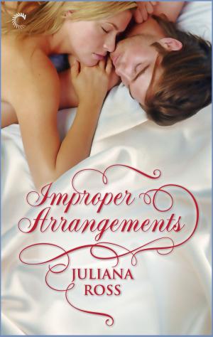 Cover of the book Improper Arrangements by Tamara Morgan