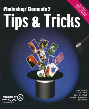 Cover of the book Photoshop Elements 2 Tips and Tricks by David R. Totzke, Lori Lalonde